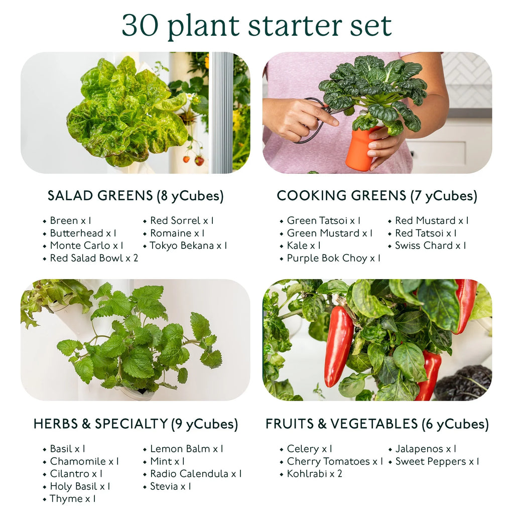Gardyn 3.0 Hydroponics Growing System & Vertical Garden Planter | Indoor Smart Garden| Includes 30 Non-GMO Indoor Plants, Herbs & Vegetables & LED Grow Lights for Your Home Indoor Gardening System
