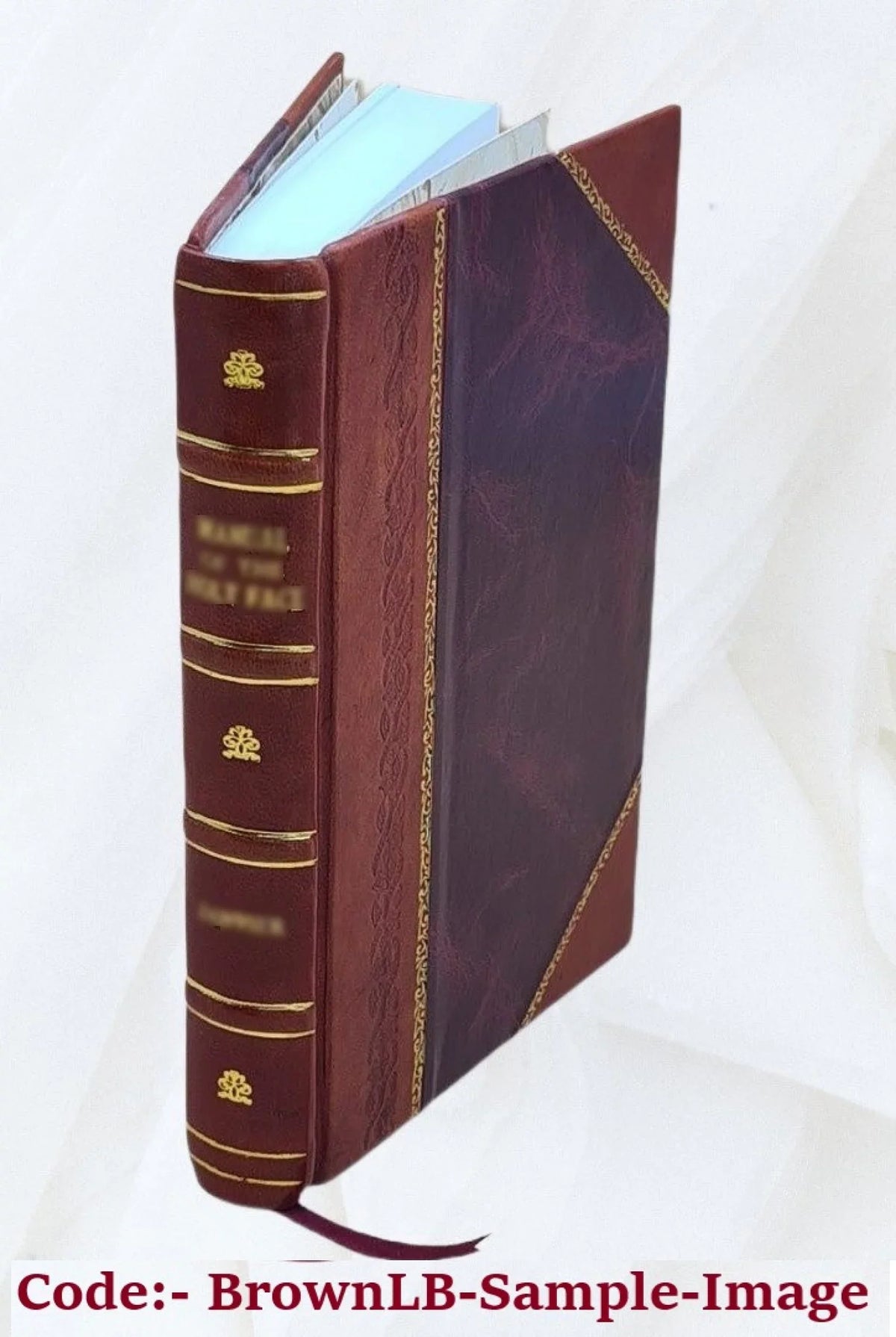 1873 [Leather Bound]. Memorie autografe d'un ribelle, ovvero Prolegomeni del fuoruscito