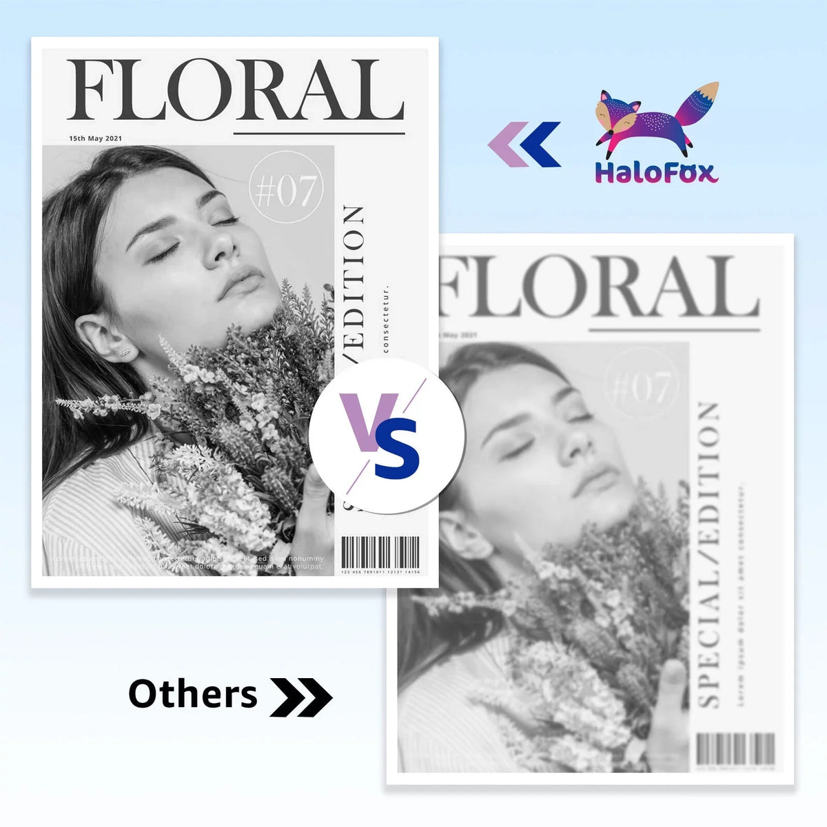 49A 53A Q5949A Halofox 49A Toner Cartridge Replacement for  49A Q5949A 53A Q7553A 49X Q5949X for  Laserjet 1320 1320n 3390 1160 1320tn 1320nw 3392 P2015 P2015dn Printer Ink (Black, 6-Pack)